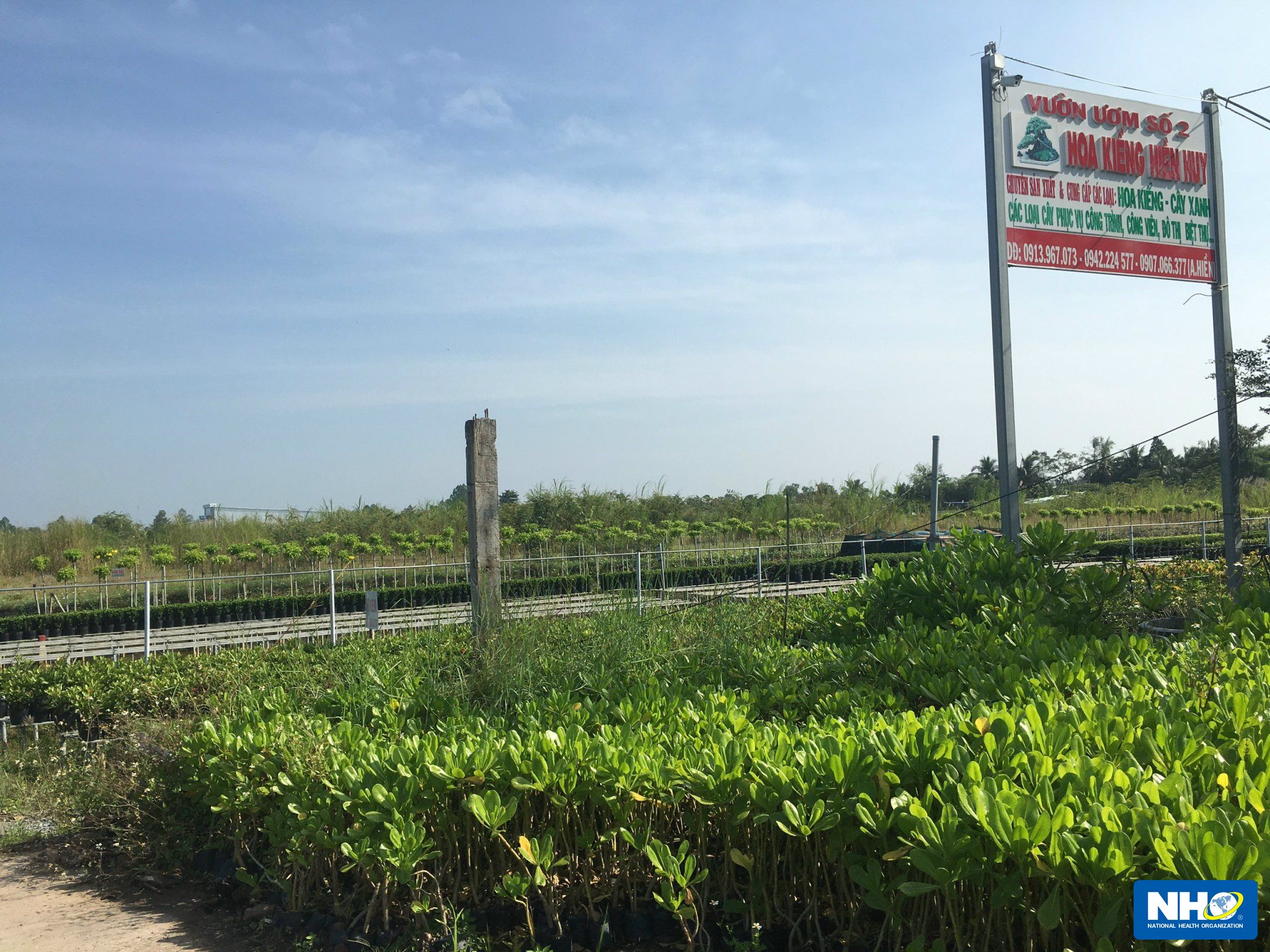 Tỷ Phú Farm (KHÔNG XÓA)